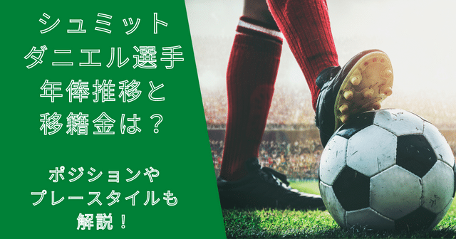 シュミットダニエル選手の年俸・市場価格の推移と移籍金は？