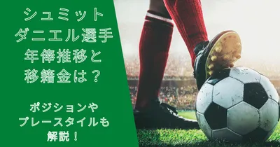 シュミットダニエル選手の年俸・市場価格の推移と移籍金は？