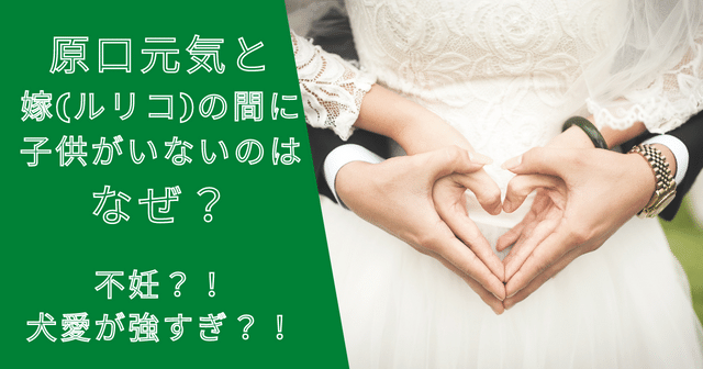 原口元気と嫁（ルリコ）の間に子供がいないのはなぜ？不妊？犬愛が強すぎ？