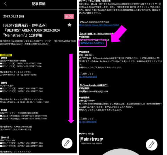 ビーファーストアリーナツアーチケット申し込み画面