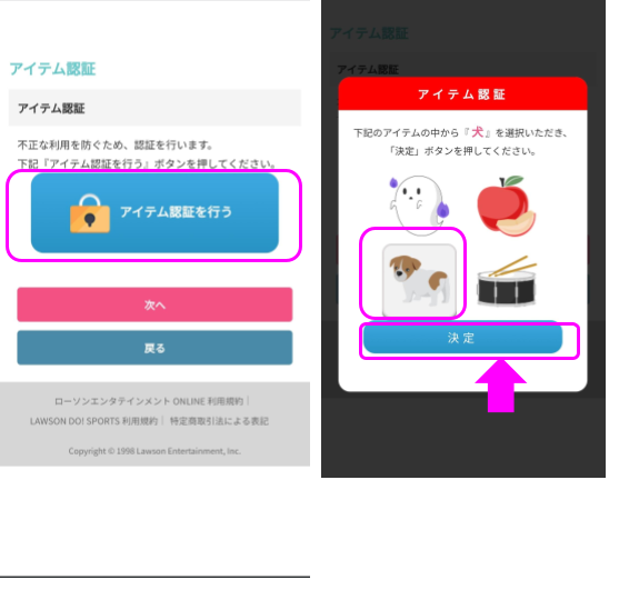 ビーファーストアリーナツアーチケット申し込み画面