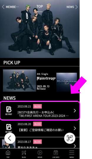 ビーファーストアリーナツアーチケット申し込み画面